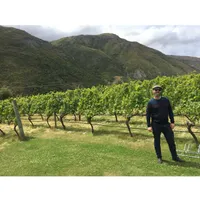 Matthew's World of Wine and Drink artwork
