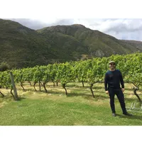Matthew's World of Wine and Drink artwork