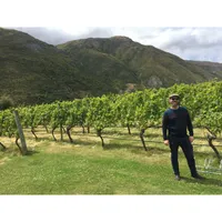 Matthew's World of Wine and Drink artwork