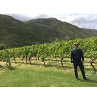 Matthew's World of Wine and Drink artwork