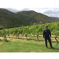 Matthew's World of Wine and Drink artwork