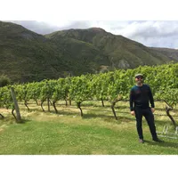 Matthew's World of Wine and Drink artwork