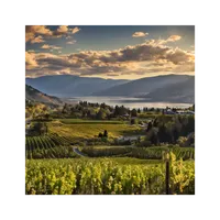 Matthew's World of Wine and Drink artwork