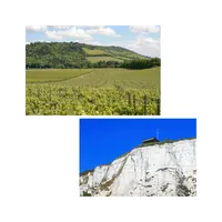 Matthew's World of Wine and Drink artwork