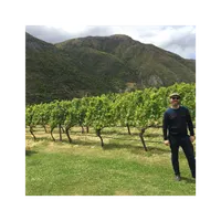 Matthew's World of Wine and Drink artwork