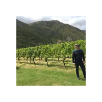 Matthew's World of Wine and Drink artwork