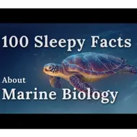Sleepy Science artwork
