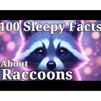 Sleepy Science artwork