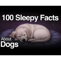 Sleepy Science artwork