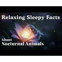 Sleepy Science artwork
