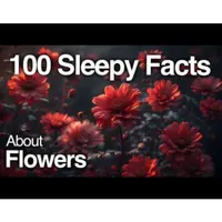 Sleepy Science artwork