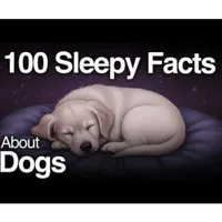Sleepy Science artwork