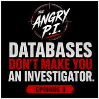 The Angry PI artwork