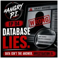 The Angry PI artwork