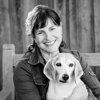 The Creative Nonfiction Podcast with Brendan O'Meara artwork