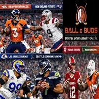 BALL and BUDS artwork