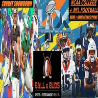 BALL and BUDS artwork