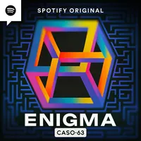 Caso 63 artwork