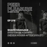 The Peer Pleasure Podcast artwork