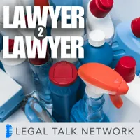 Lawyer 2 Lawyer artwork