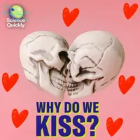 Science Quickly artwork