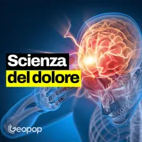 Geopop - Le Scienze nella vita di tutti i giorni artwork