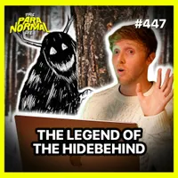 This Paranormal Life artwork