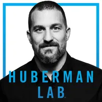 Huberman Lab artwork