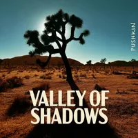 National Park After Dark artwork