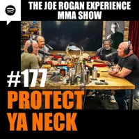 The Joe Rogan Experience artwork