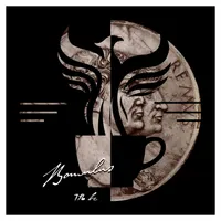 The Amelia Project artwork