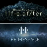 LifeAfter/The Message artwork