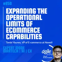 The Agile Brand with Greg Kihlström®: Expert Mode Marketing Technology, AI, & CX artwork