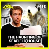 This Paranormal Life artwork