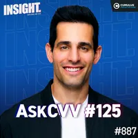 Insight with Chris Van Vliet artwork