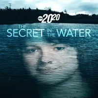 20/20 artwork