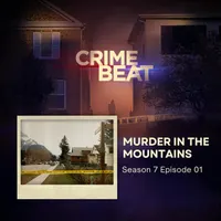 Crime Beat artwork