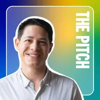 The Pitch artwork
