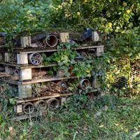 Gardening with the RHS artwork