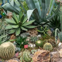 Gardening with the RHS artwork