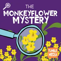 Tumble Science Podcast for Kids artwork