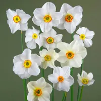 Gardening with the RHS artwork