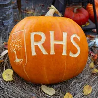 Gardening with the RHS artwork