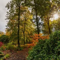 Gardening with the RHS artwork