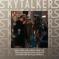 Skytalkers artwork