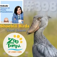 Nobody Listens to Paula Poundstone artwork