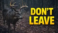 Truth From The Stand Deer Hunting Podcast artwork