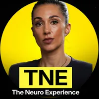 The Neuro Experience artwork