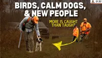 Gun Dog It Yourself artwork