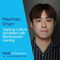 The TWIML AI Podcast (formerly This Week in Machine Learning & Artificial Intelligence) artwork